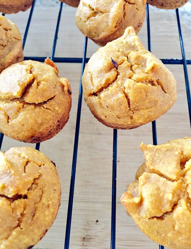 A healthy Thanksgiving whether you're gluten free, vegan or paleo!