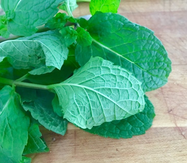 Natural Bug Defense #getWelli