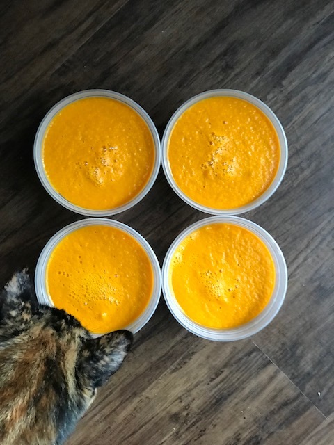 my husband's cat... ruining the photo