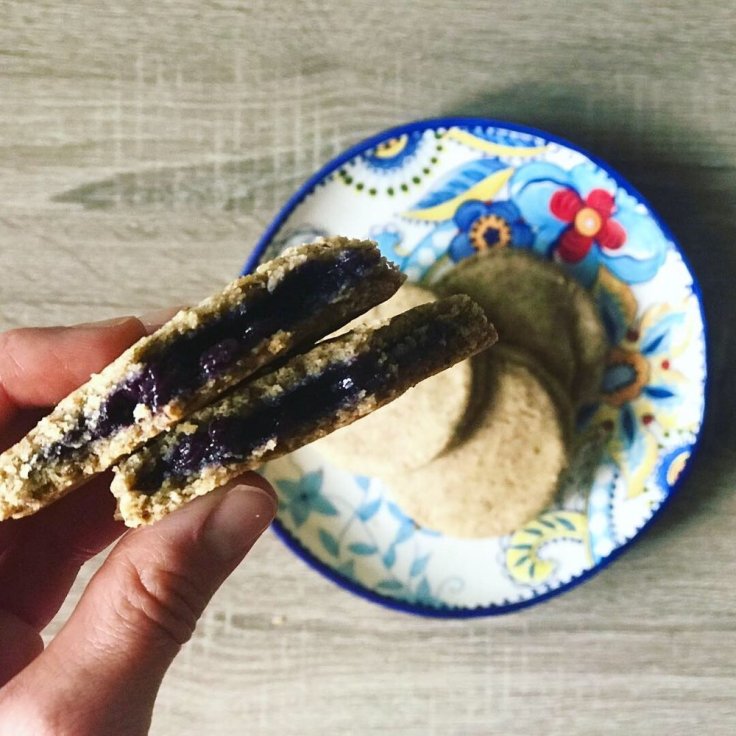 protein pop tarts - www.JoyfulGoodness.com - #JoyfulGoodness #beJoyful #grainfree #vegan #paleo #protein #sugarfree #breakfast #glutenfree #vegetarian
