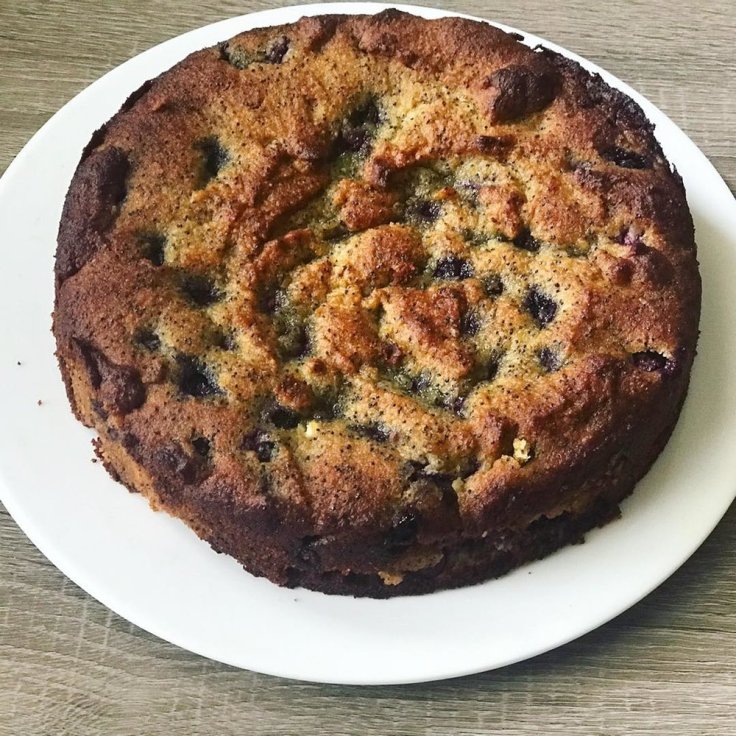 Lemon and Blueberry Poppyseed Cake - www.JoyfulGoodness.com - #vegan #paleo #glutenfree #grainfree #JoyfulGoodness #beJoyful #cake #easter #brunch
