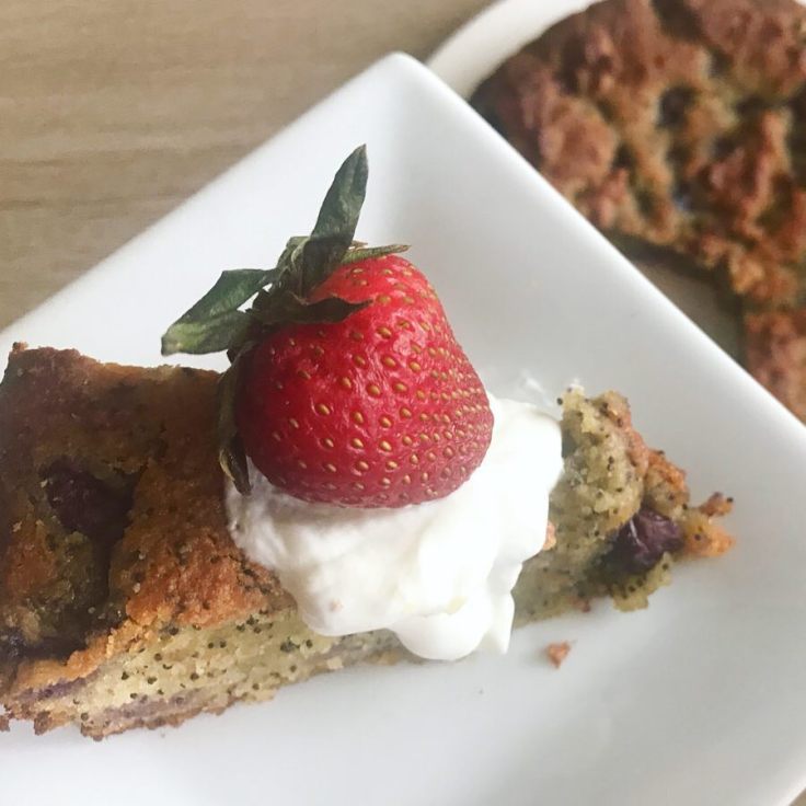 Lemon and Blueberry Poppyseed Cake - www.JoyfulGoodness.com - #vegan #paleo #glutenfree #grainfree #JoyfulGoodness #beJoyful #cake #easter