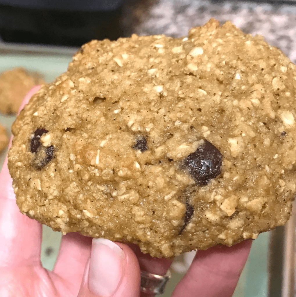 healthy chocolate chip pumpkin cookies - gluten free - paleo - vegan